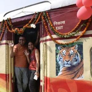 Onboard the amazing Tiger Express