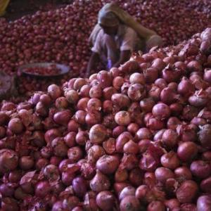Govt bans onion export, imposes stock limit