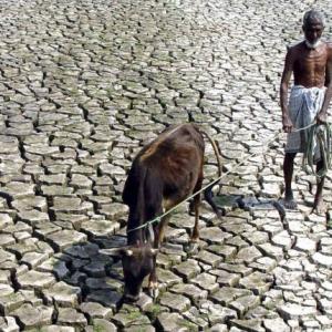 Plan to make Maharashtra drought-free by 2019 fails