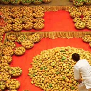 As yields drop, Mango lovers will have to pay a higher price