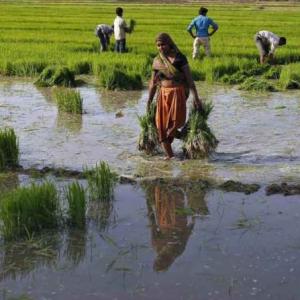 How govt plans to double farm income in 5 years