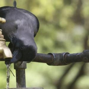 How best to tackle India's water crisis