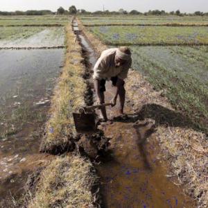 Why Telangana gave cheques to farmers instead of direct transfer