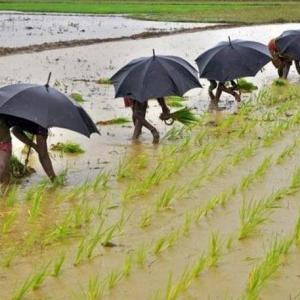 Southwest monsoon has been fairly normal this year: IMD