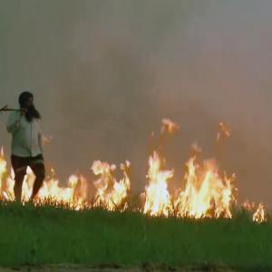 Paying farmers for not burning stubble is wrong