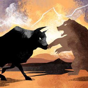 Bull rules D-Street; Sensex zooms 2,315 points