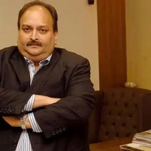 Why Mehul Choksi is not returning anytime soon