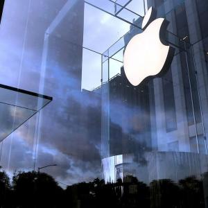 Covid blues fail to dampen Apple's dream run