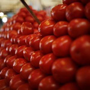 Tomato prices range between Rs 80 and Rs 120 per kg