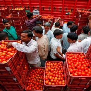 Tomato prices skyrocket to Rs 93 per kg in metros