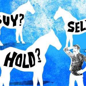 Time to Hold or Fold in the Market?