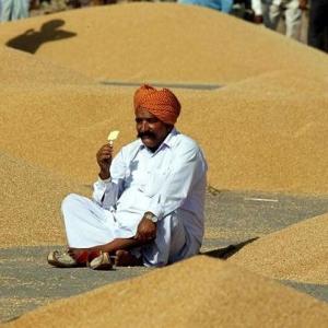 Derivatives trade in wheat suspended for 1 year
