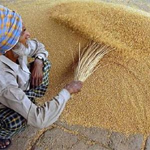 Wheat stocks in central pool could be lowest in 3 yrs