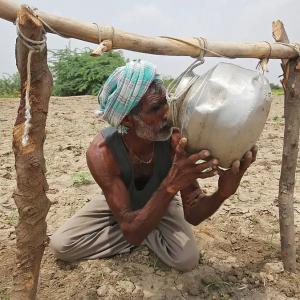 Heat wave hurting farmers' income as yields drop