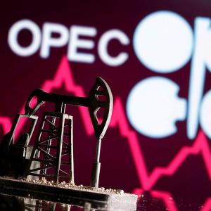 Why India is mum on OPEC's decision to cut production