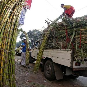 Why analysts are selective on sugar stocks