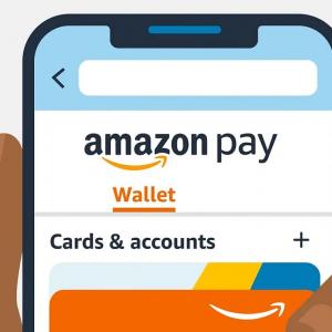 Amazon Pay India growing at 40-50%: CEO