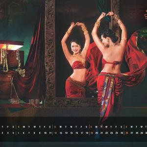 PIX: Marathi actresses sizzle on 2014 calendar