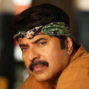 Mammootty banks on his next three releases