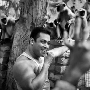 Salman Khan's day out with monkeys!