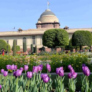 10,000 Tulips, 135 types of roses... Welcome to the Mughal Gardens