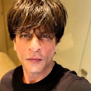 Is this Shah Rukh's next film?