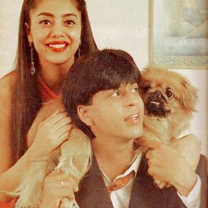 How Shah Rukh-Gauri Fell In Love