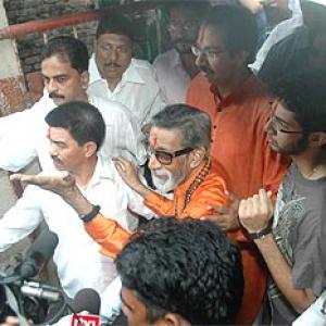 Images: Thackerays, Tendulkar vote