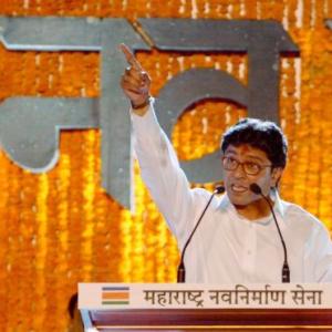 Will contest Maharashtra assembly elections: Raj Thackeray