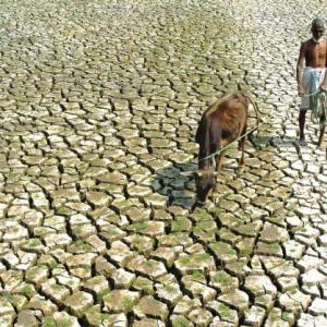 When will distressed farmers get help, Sena asks Centre