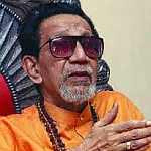 'Bal Thackeray was a fabulous human being'