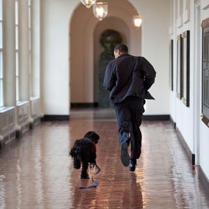 PHOTO ALBUM: Obama's years in the White House