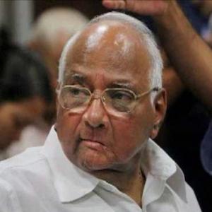 I am not contesting Lok Sabha polls: Pawar on Shinde's remarks