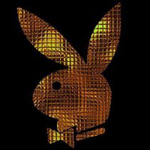 Why Playboy's Goa club plan is doomed