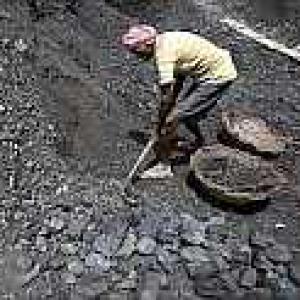 Govt interfered in CBI probe into coal scam: SC told