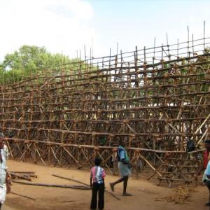 PIX: Madurai village all set for a 'tamed' Jallikattu