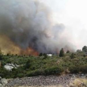 Nineteen firefighters killed in wild blaze in Arizona