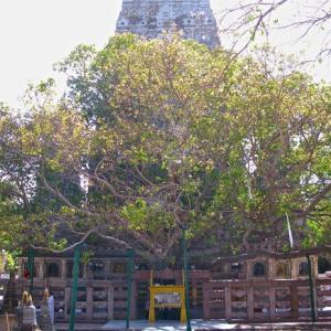 Bodh Gaya temple re-opens 36 hours after serial blasts