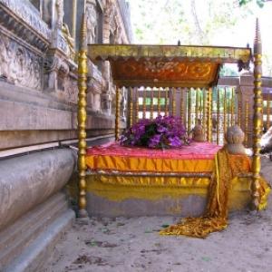 Mahabodhi temple, Bodhi tree untouched by blasts