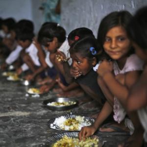 Mid-day meal SHOCKERS: Food for students tested on stray dogs
