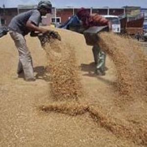 UPA to bring ordinance to implement Food Security Bill