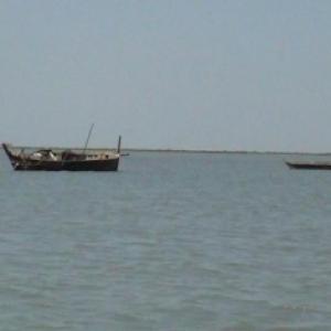 12 Pak fishermen arrested for entering Indian waters