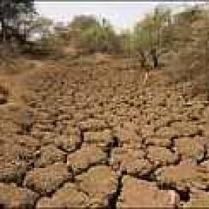 Maharashtra gets Rs 1,207-cr drought relief package