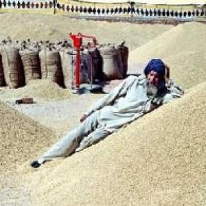 Cong issues whip to its LS members on Food Security Bill