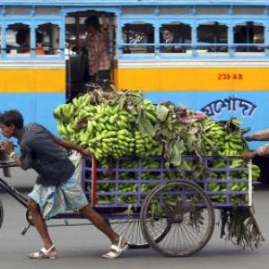 The bye-cycle diaries of Kolkata