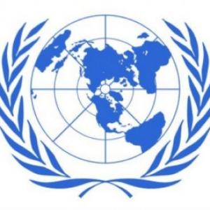 UN elects 5 nations as non-permanent security council members