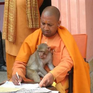 Is Yogi scared of the Mughals?