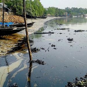 Oil spill in Bangladesh Sunderbans; India on high alert