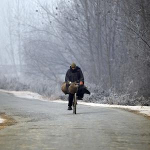PHOTOS: Battling the harsh North India winter