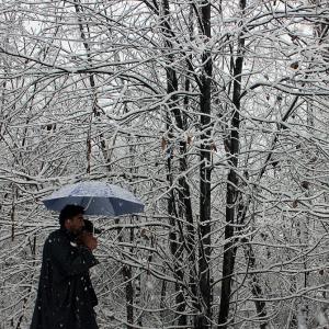 PHOTOS: A picture-perfect snowy winter in Kashmir